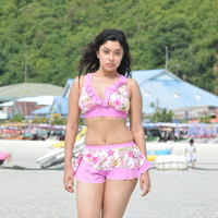 Payal Ghosh hot n spicy bikini gallery | Picture 71824